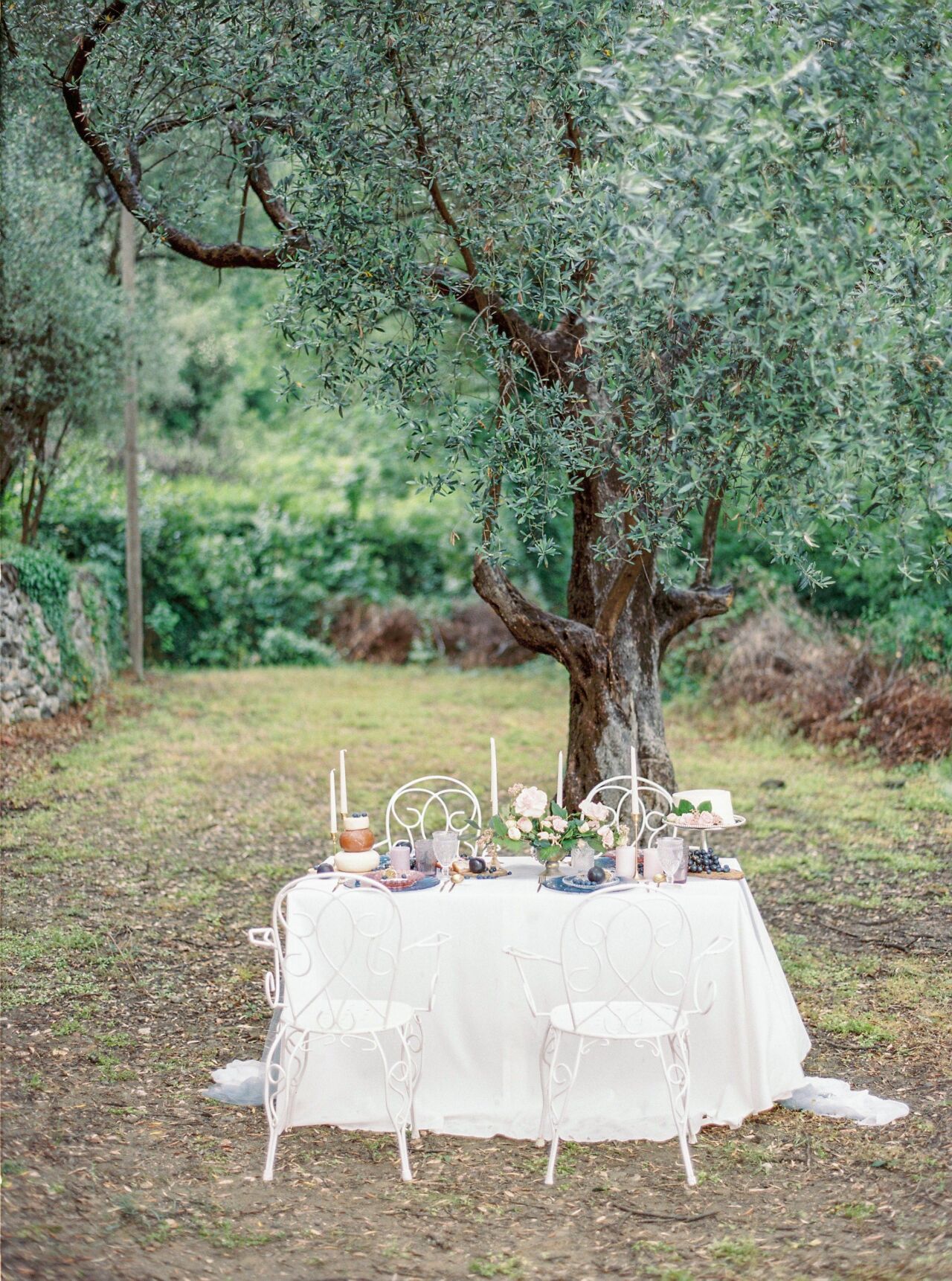Reception table dressed in white linen beneath an olive tree
